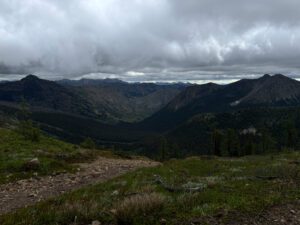 d8 grasshopper pass2