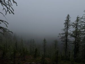 d9 foggy pass