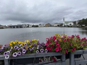 reykjavik3