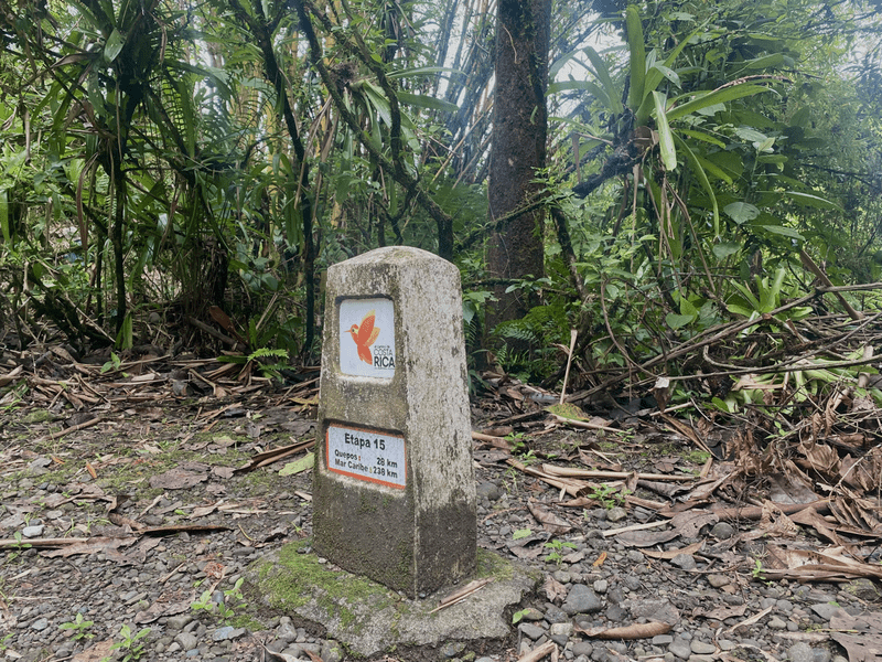 cr13 stage 15 marker