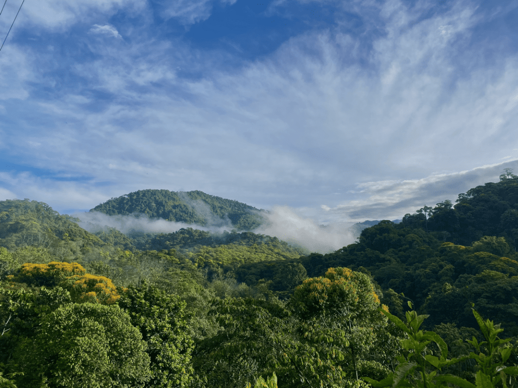 cr14 foothills morning