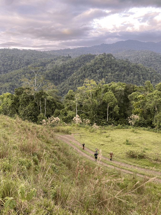 cr3 walkers in distance