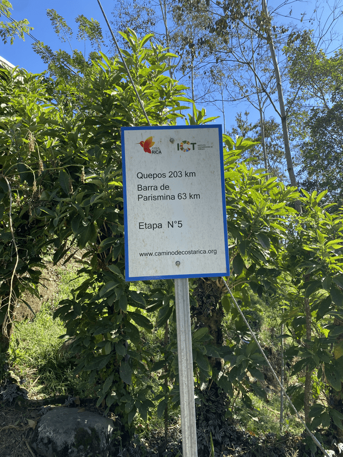cr4 camino sign
