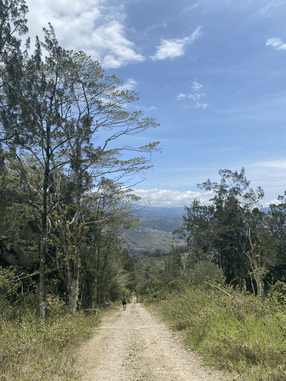 hiker on dirt road