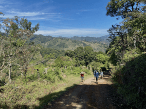 walkers on dirt road