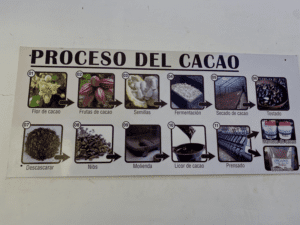 dj chocolate process