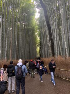 kyoto bamboo2