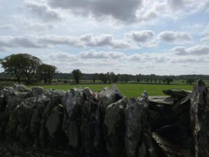 monasterboices field