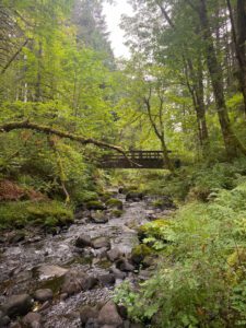 pct s 14 river bridge