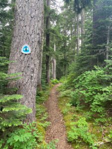 pct s 2 trail marker