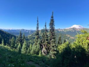 pct s 4 rainier and adams