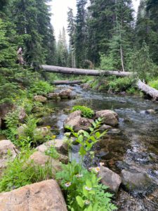 pct s 5 bumping river log