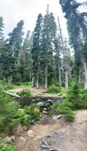 pct s 5 bumping river campsite