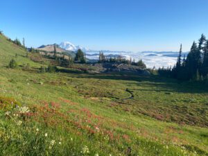 pct s 7meadow