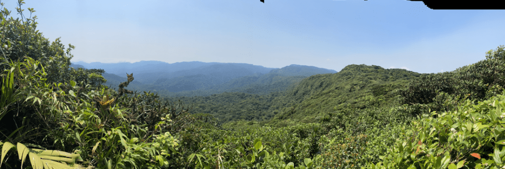 mvrde view mvrde view